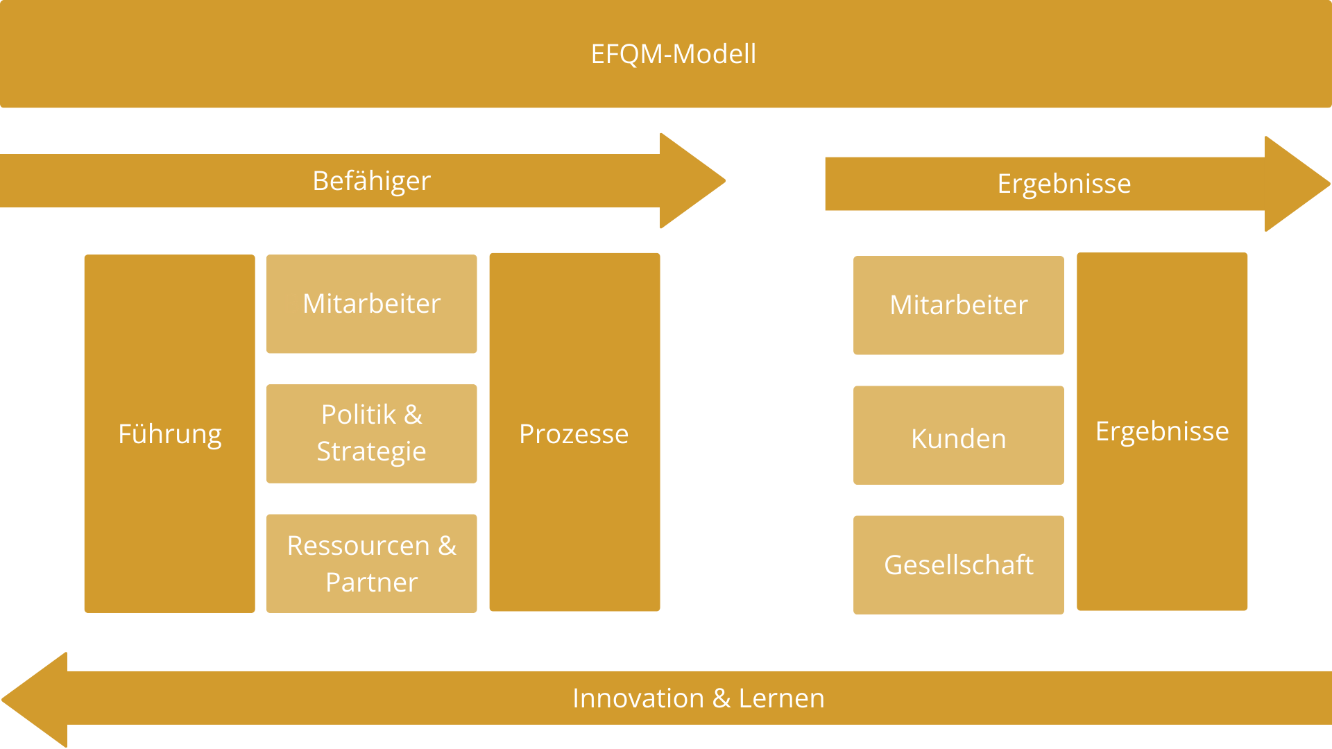 Efq EFQM model