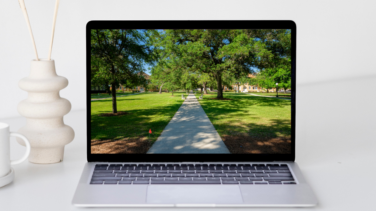 Laptop mit einem grünen Park auf dem Bildschirm. Ein Weg führt mitten hindurch.